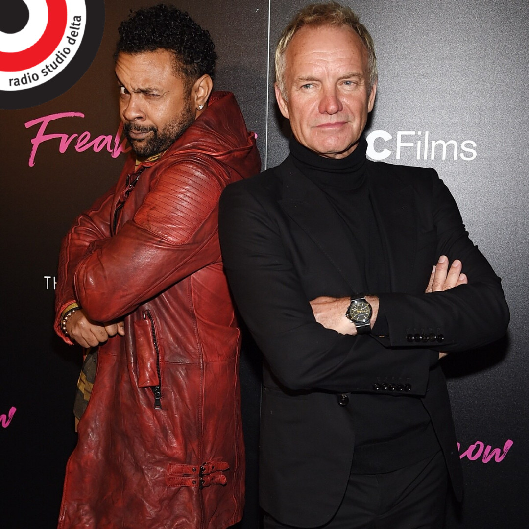 Shaggy E Sting Ancora Insieme — Radio Studio Delta